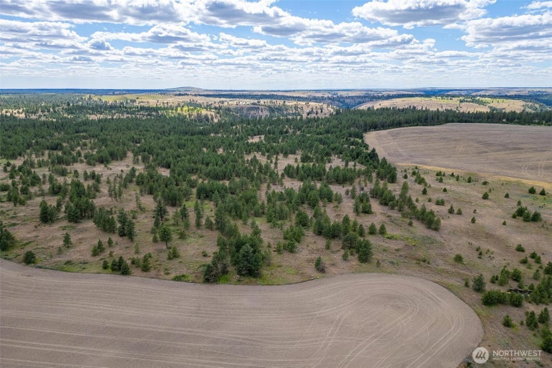35470 Prairie Lane N Lot 1