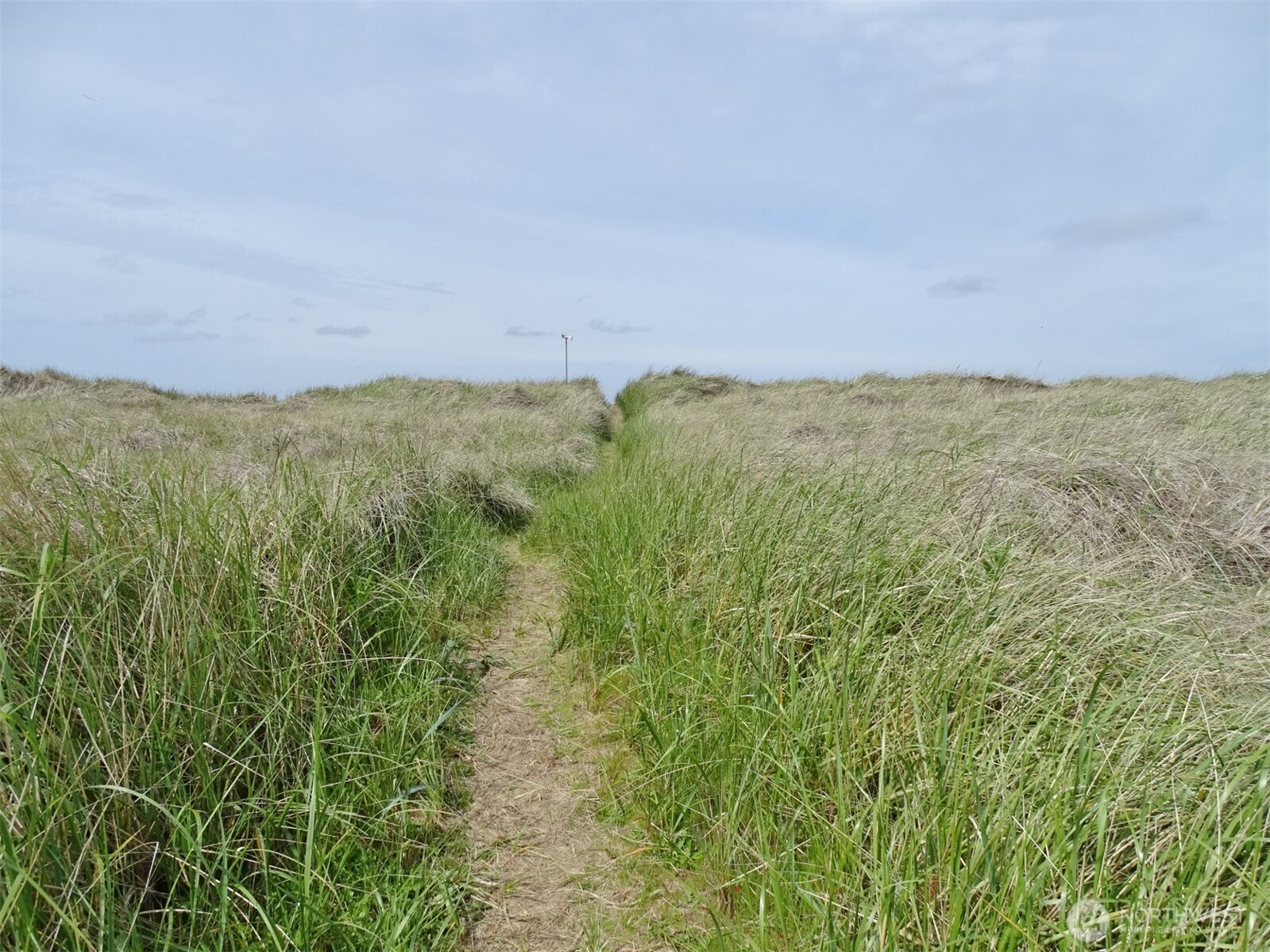 1307 Ocean Shores Boulevard SW N11