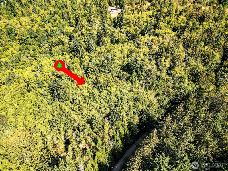 9999 Ripplebrook Drive