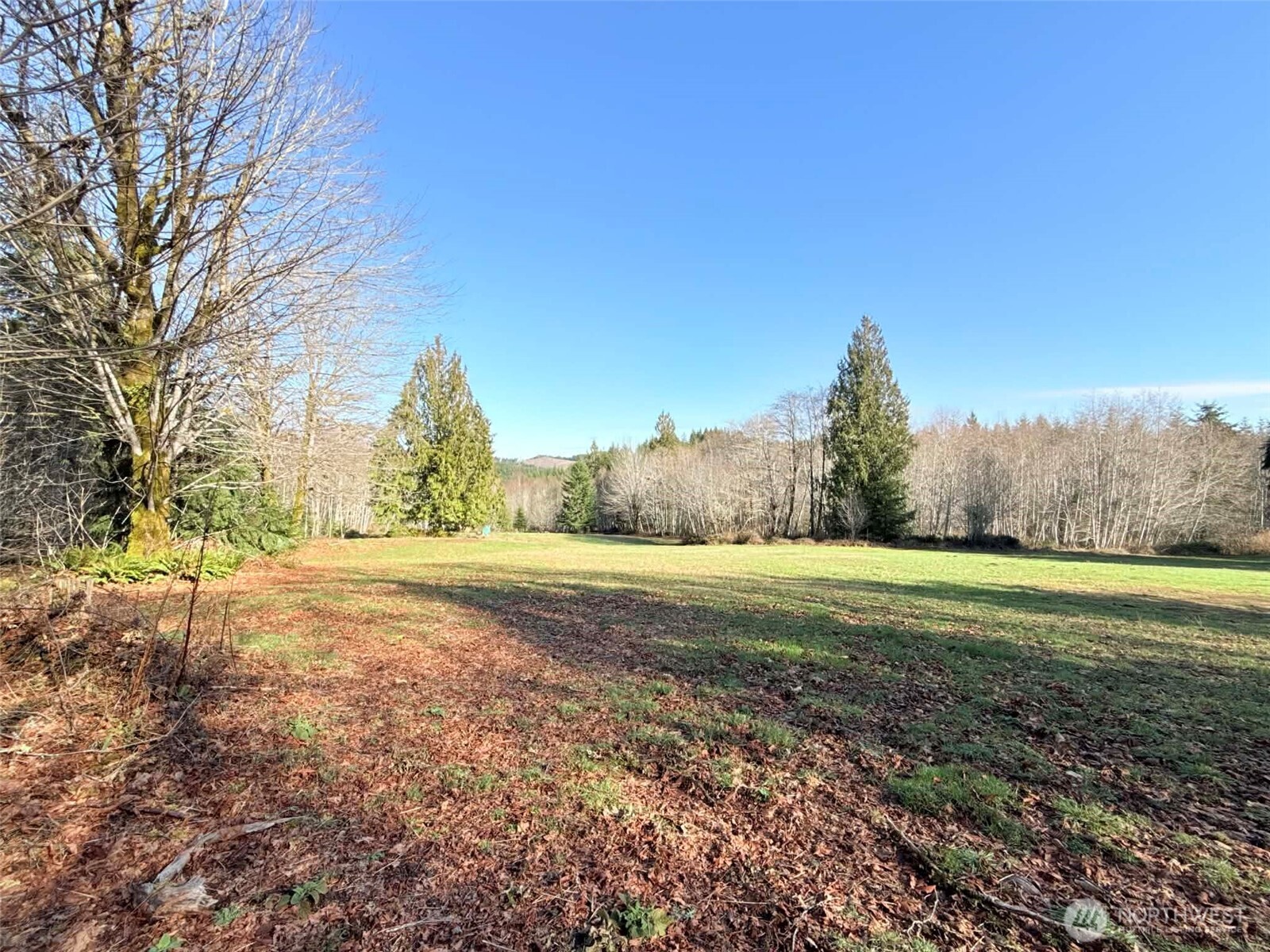 5951 W Satsop Cloquallum Road