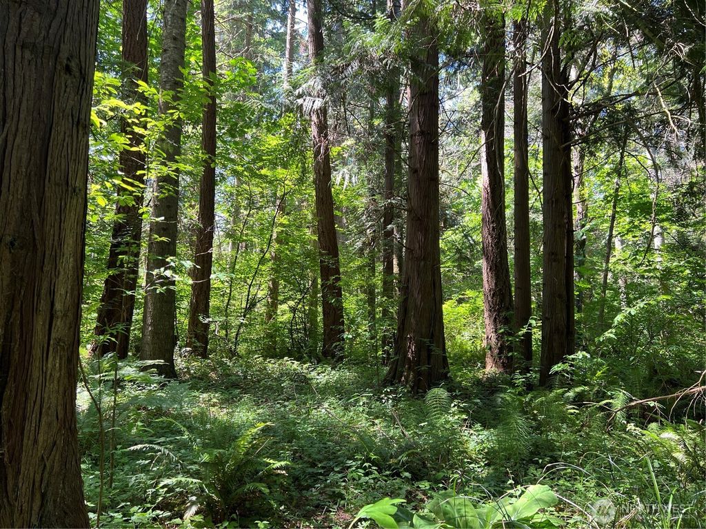 Photo of 6 acres South Beach Road, Point Roberts, WA 98281 (MLS # 2497532)