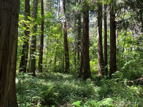 Photo of 6 acres South Beach Road, Point Roberts, WA 98281 (MLS # 2497532)