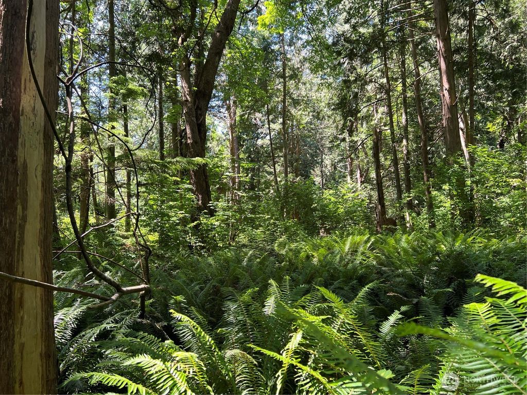 Photo of 6 acres South Beach Road, Point Roberts, WA 98281 (MLS # 2497532)