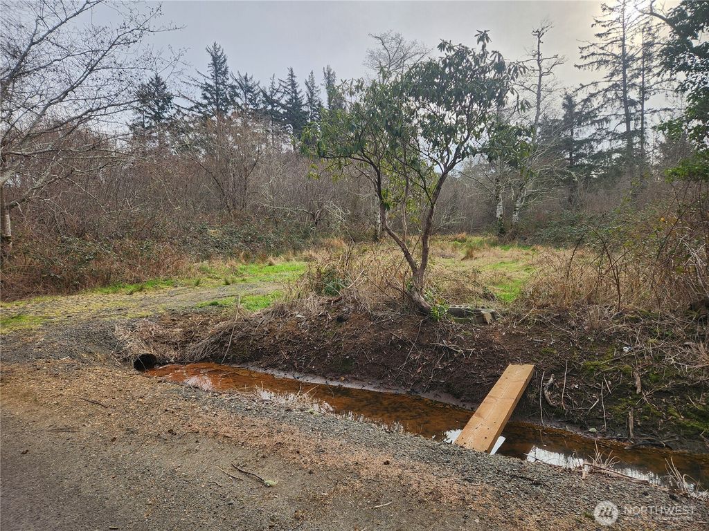 Photo of 20 Houtchin Street, Chinook, WA 98614 (MLS # 2472568)