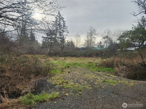 Photo of 20 Houtchin Street, Chinook, WA 98614 (MLS # 2472568)