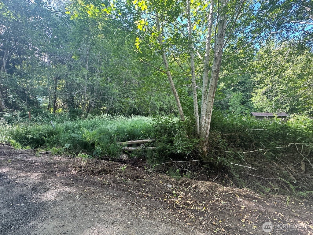 Photo of 190 W Thunderbird Drive, Elma, WA 98541 (MLS # 2544192)