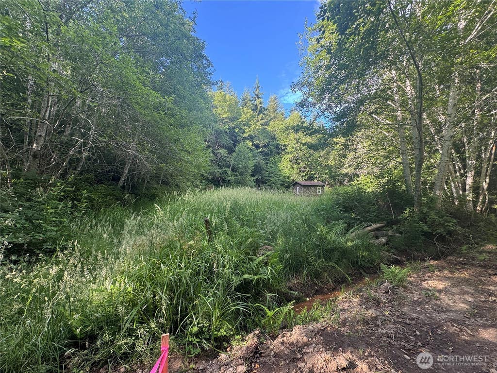 Photo of 190 W Thunderbird Drive, Elma, WA 98541 (MLS # 2544192)