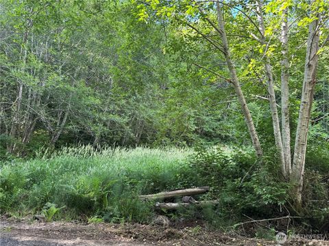 Photo of 190 W Thunderbird Drive, Elma, WA 98541 (MLS # 2544192)
