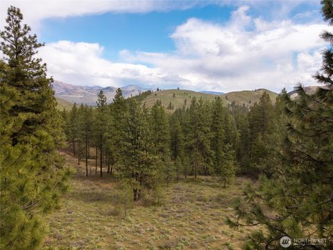 Photo of 0 LOT 61 Whitebark Lane, Winthrop, WA 98862 (MLS # 2510123)