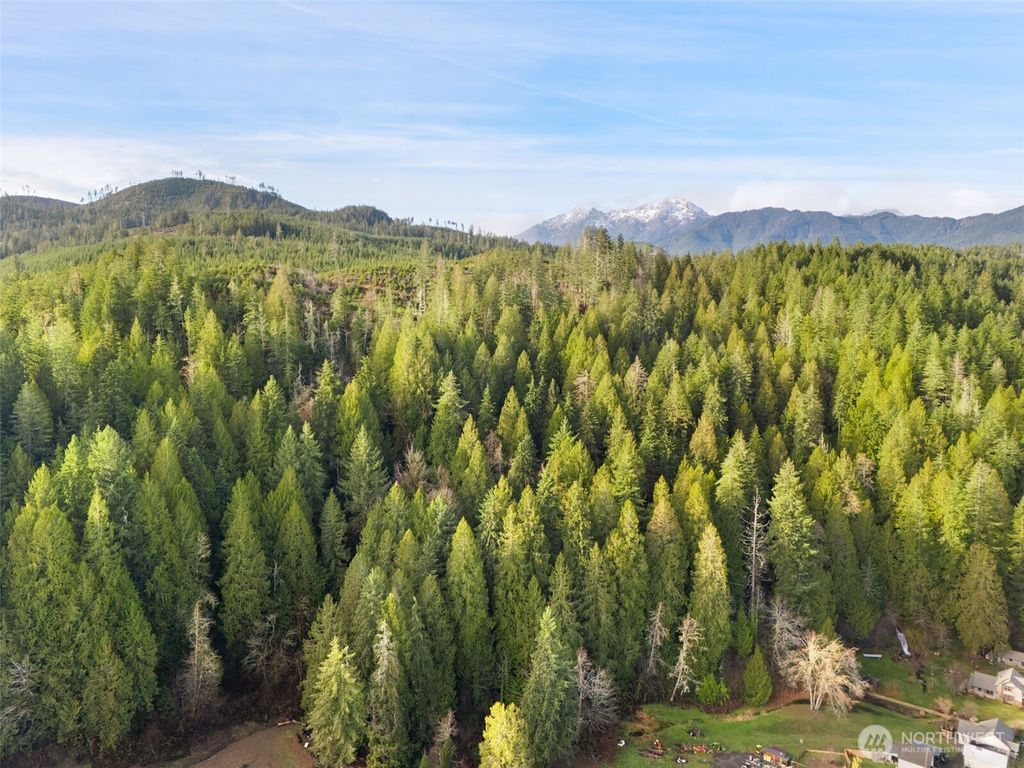 Photo of 1 XX N Lilliwaup Street, Lilliwaup, WA 98555 (MLS # 2463572)