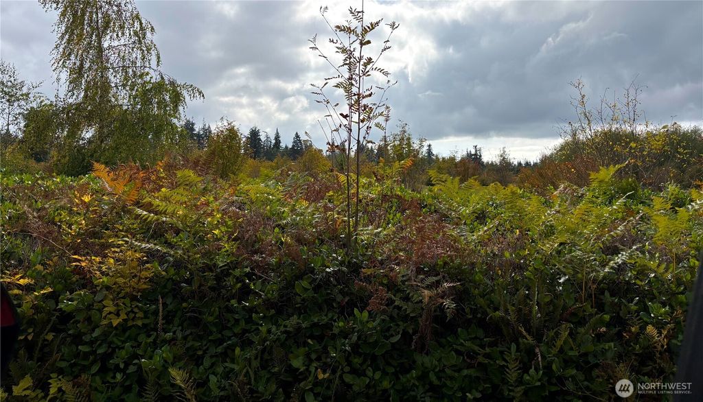 Photo of 37 XX 188th Street NW #Lot 2, Stanwood, WA 98292 (MLS # 2441388)