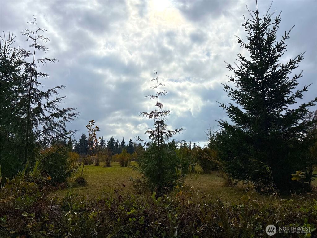 Photo of 37 XX 188th Street NW #Lot 2, Stanwood, WA 98292 (MLS # 2441388)