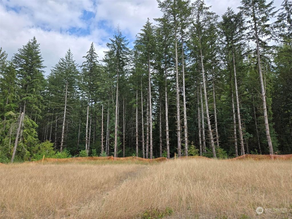 Photo of 33704 206 Basswood Avenue SE, Black Diamond, WA 98010 (MLS # 2278022)