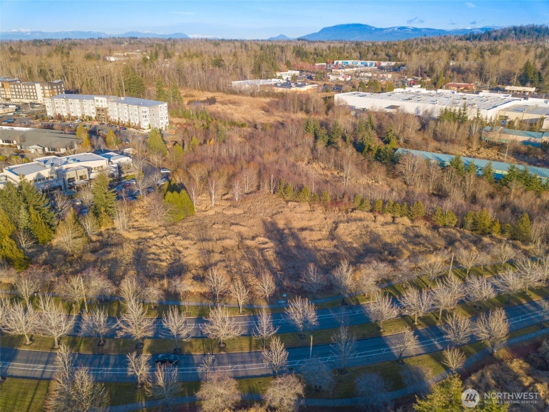 42 Cordata Parkway
