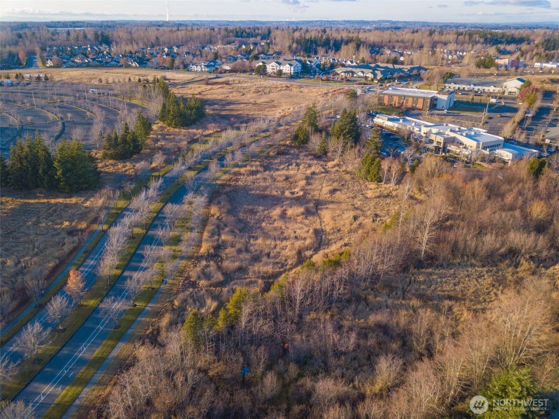 42 Cordata Parkway