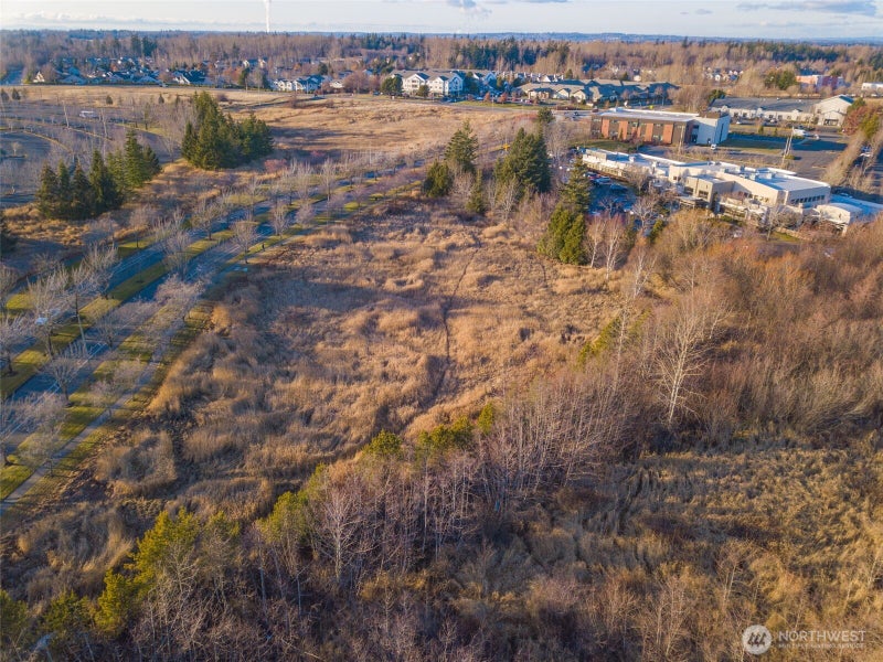 42 Cordata Parkway