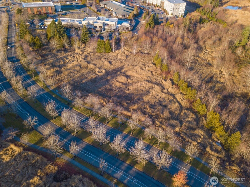 42 Cordata Parkway