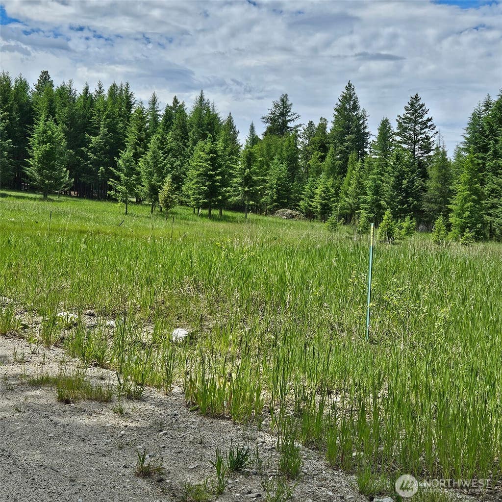 Photo of 111 TBD Summer Road, Tonasket, WA 98855 (MLS # 2563394)