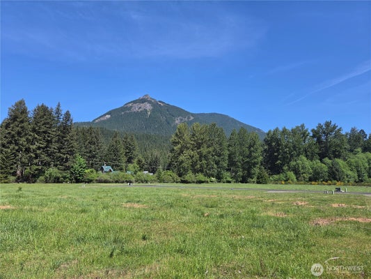123 CAMPFIRE LANE, PACKWOOD, WA 98361 - Image e5efa7e6bc553adaa6ad81904fc90f9c/3608073442