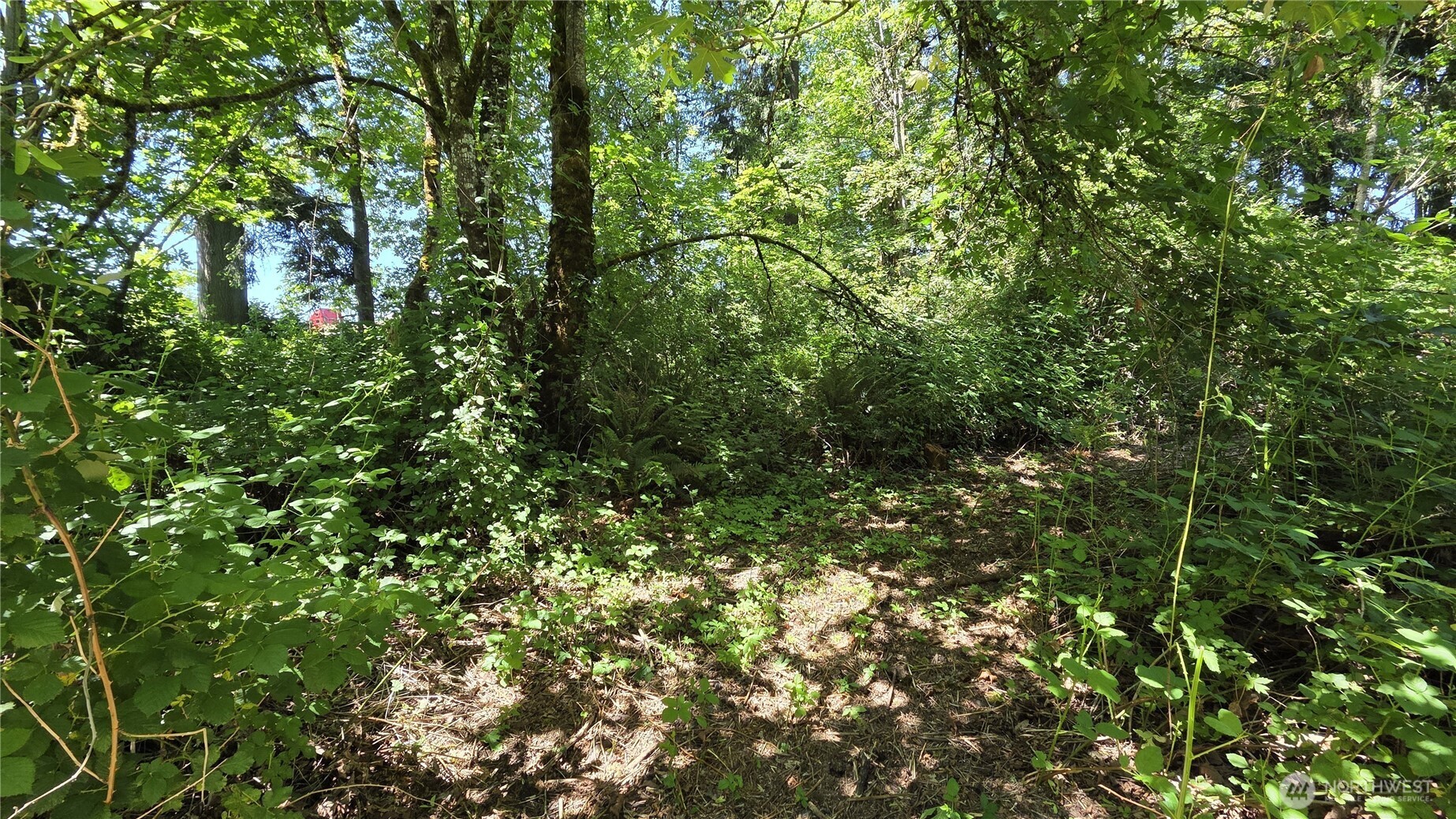 123 Mulford Road
