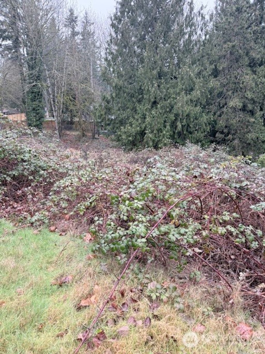 Photo of 14708 SE 145th Place, Renton, WA 98059 (MLS # 2486824)