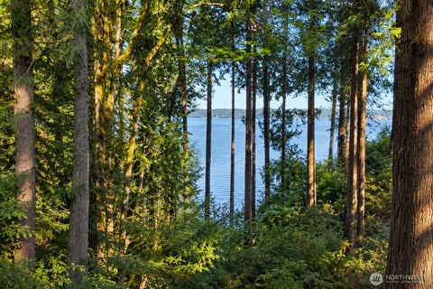 Photo of 201 E Cutty Sark Drive, Shelton, WA 98584 (MLS # 2563629)