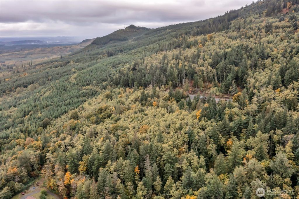 Photo of 35814 SE 311th Street, Ravensdale, WA 98051 (MLS # 2458302)