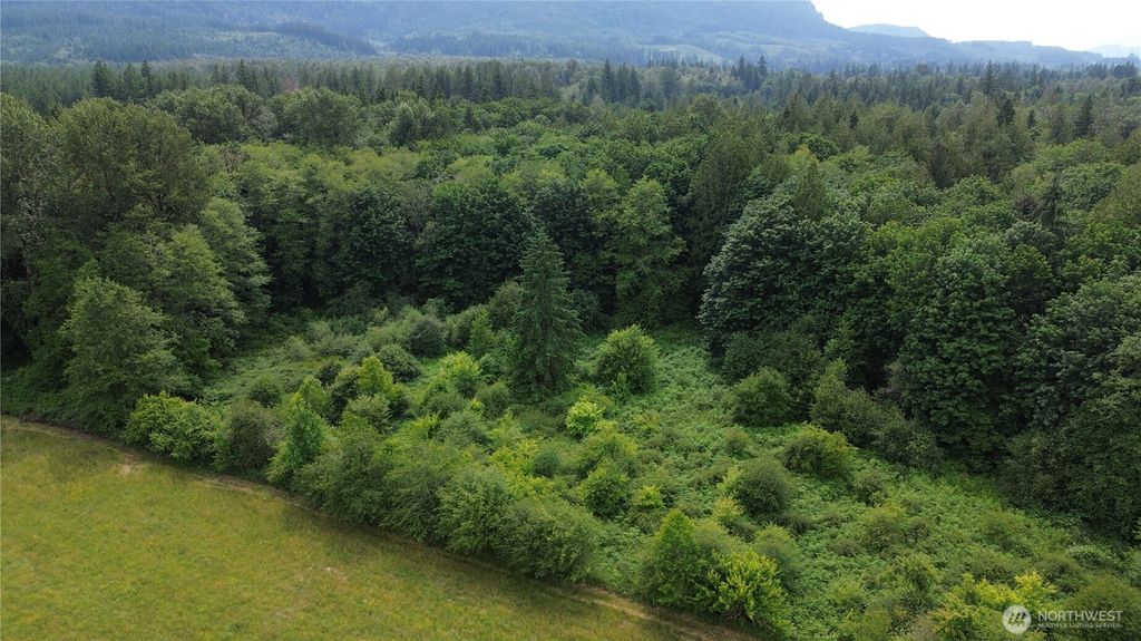 Photo of 400 State Route 530, Arlington, WA 98223 (MLS # 2404234)