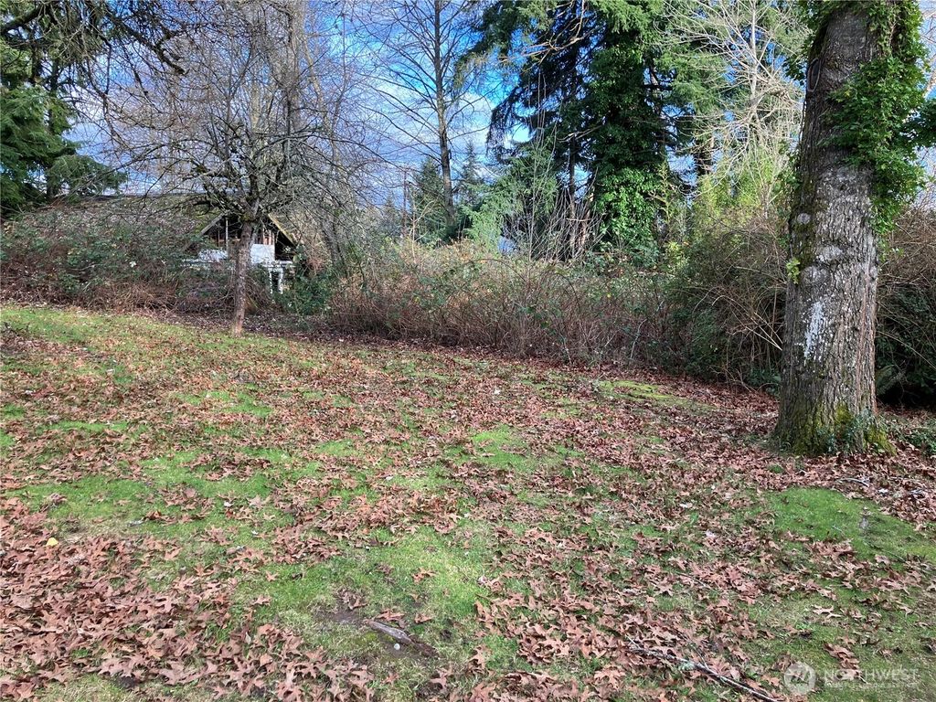 Photo of 116 20th Street NE, Lake Stevens, WA 98258 (MLS # 2468406)