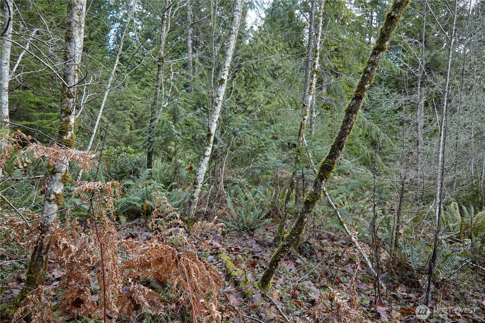 63 NW Anderson Hill Road