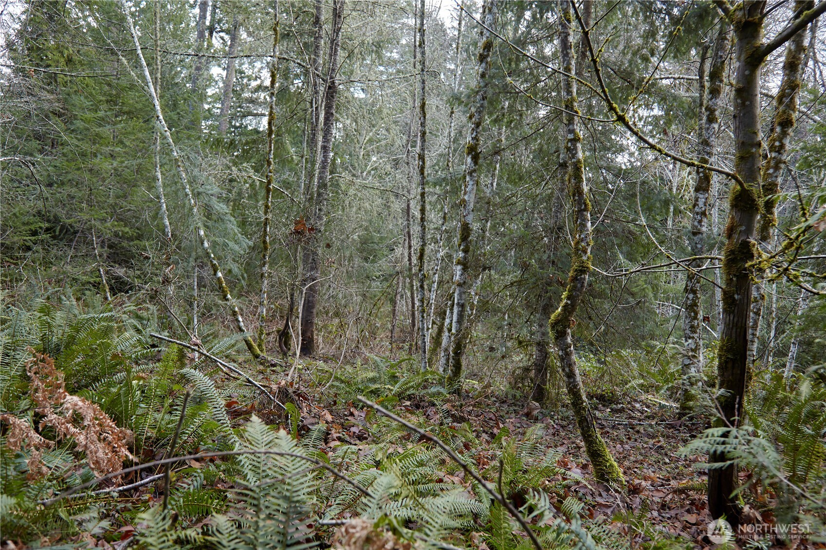 63 NW Anderson Hill Road