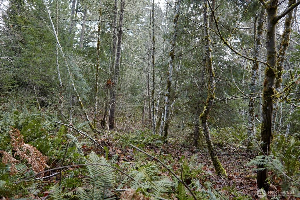 Photo of 63 XX NW Anderson Hill Road, Silverdale, WA 98383 (MLS # 2469702)