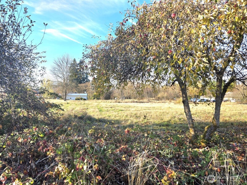 606 Yelm Avenue W
