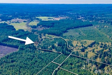 211 W New Moon Lane Matlock WA 98560