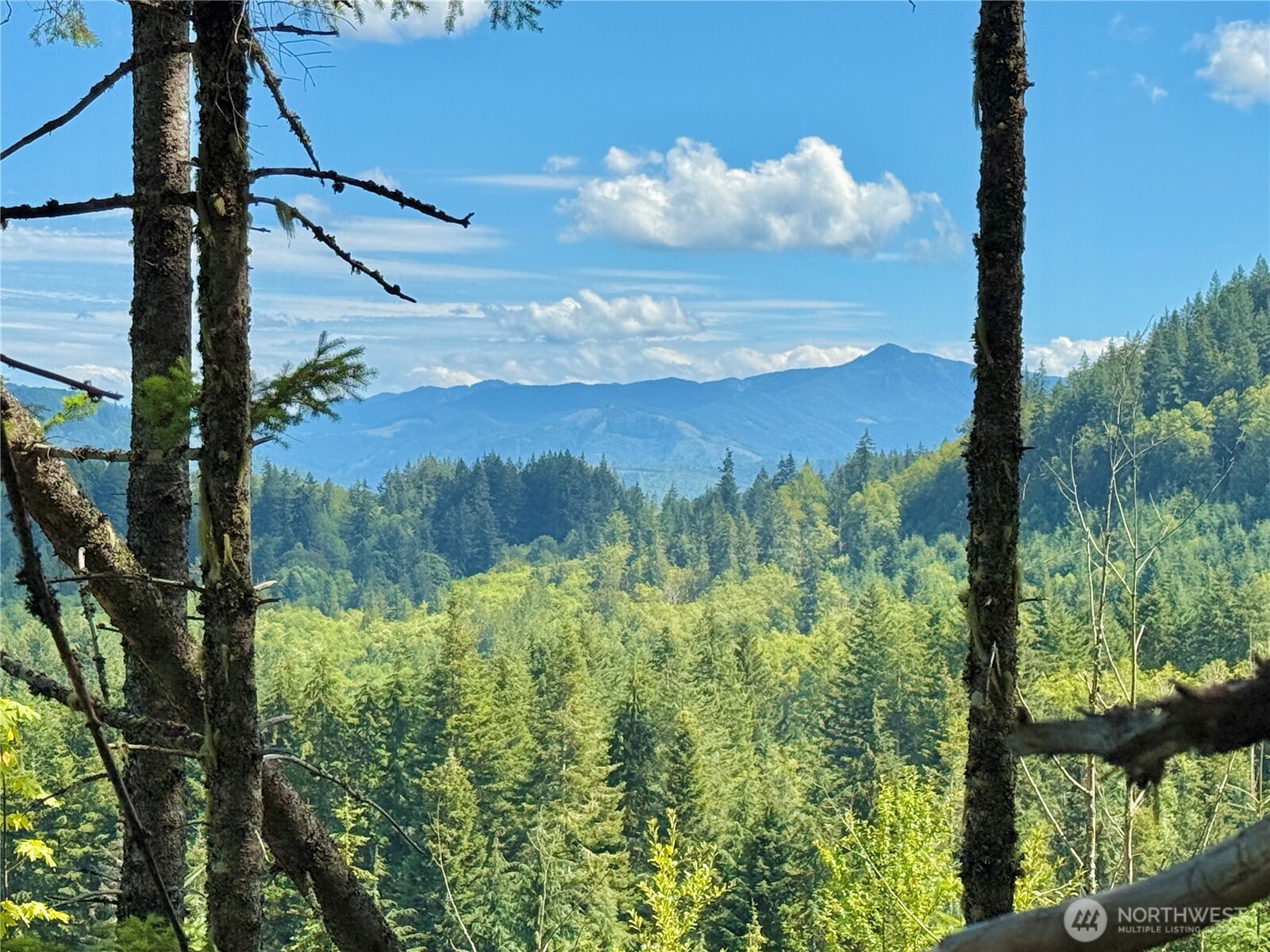 49923 146th Avenue E