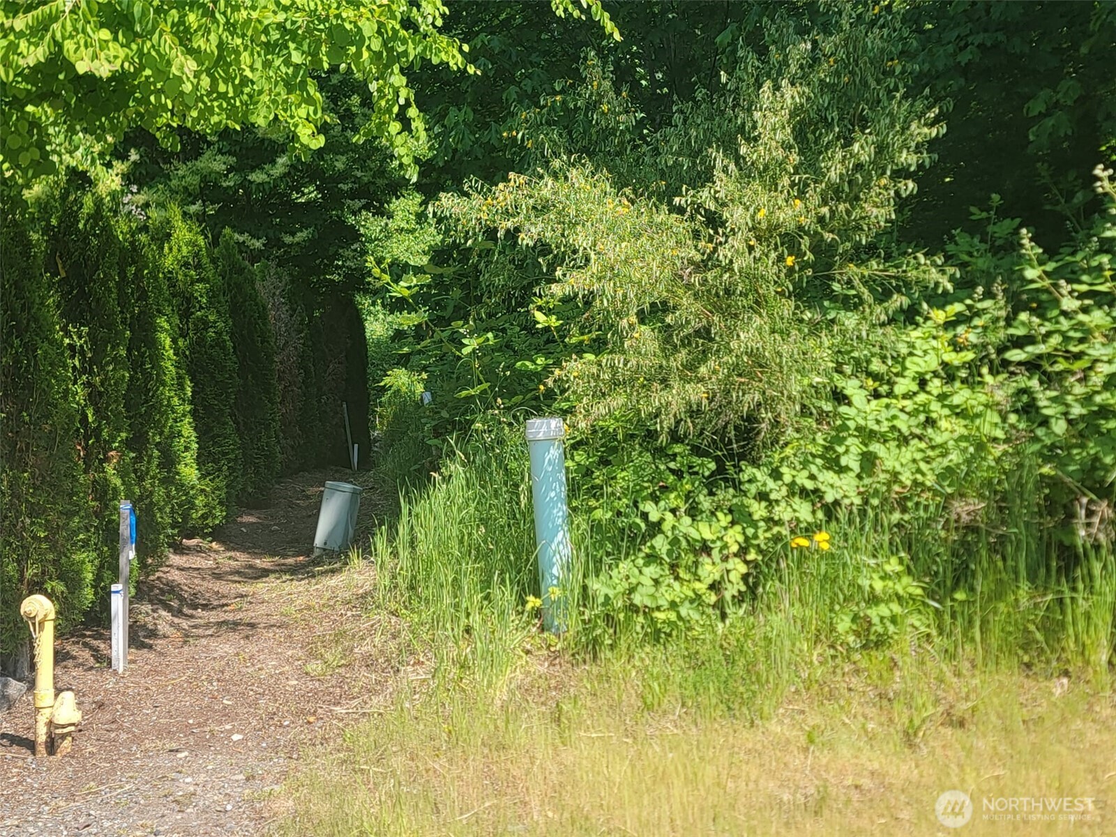 127 NE 126th Way