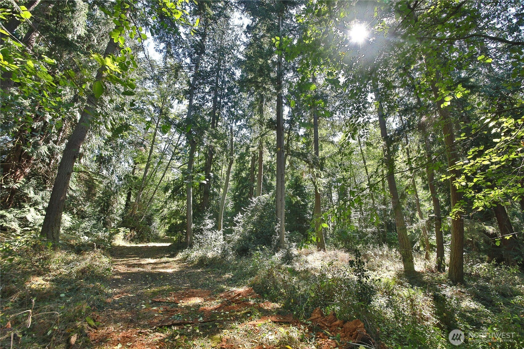 1 Scenic Avenue