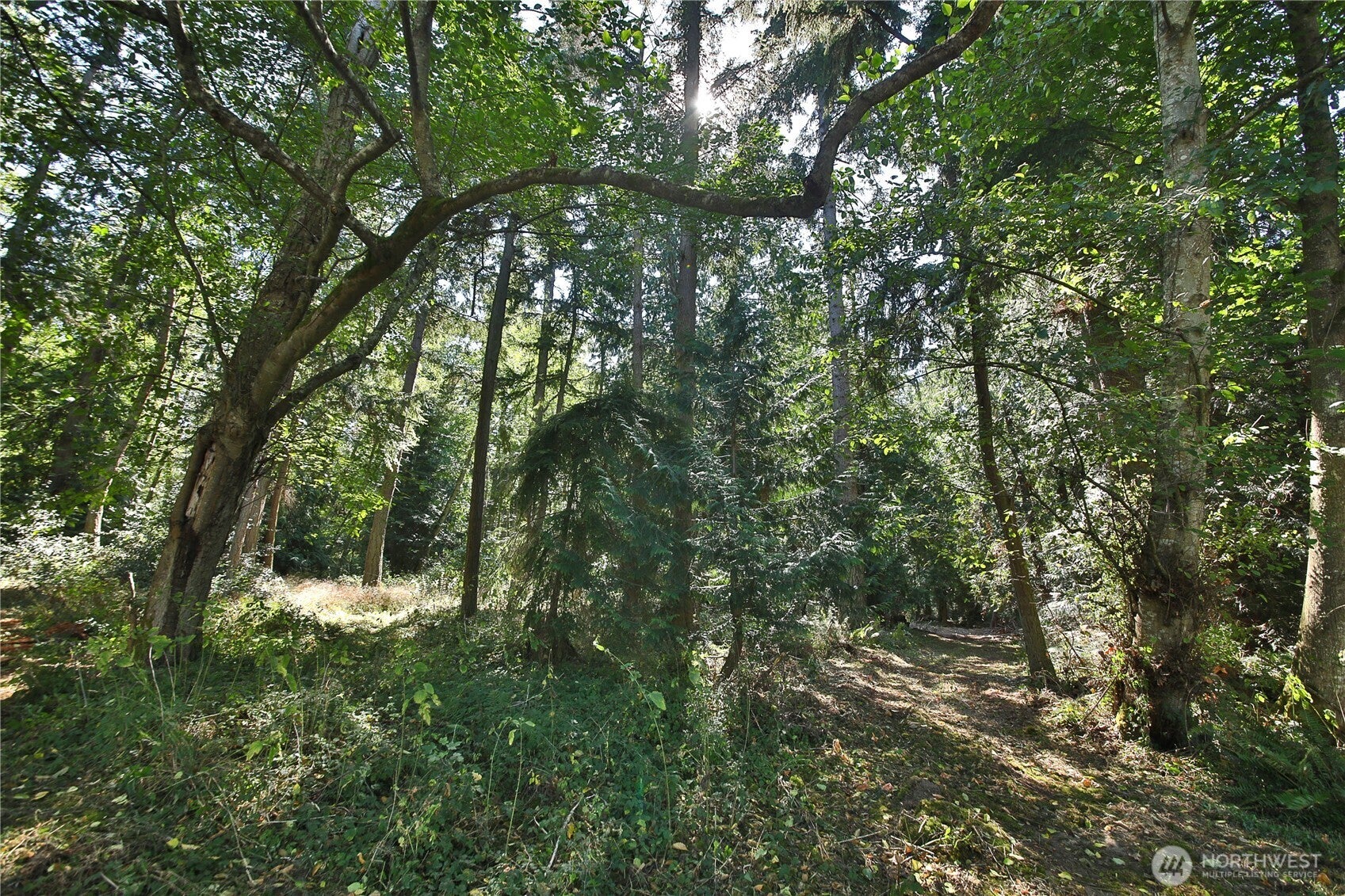 1 Scenic Avenue