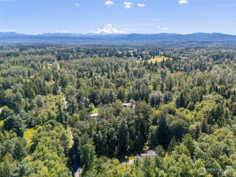 Photo of 8816 324th St E ST, Eatonville, WA 98328 (MLS # 2538554)