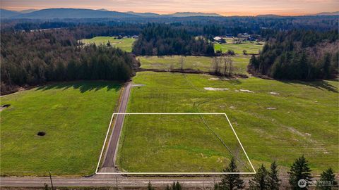 Photo of 1375 Ten Mile Road, Everson, WA 98247 (MLS # 2486696)