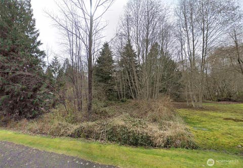 Photo of 5111 74th Avenue SW, Olympia, WA 98512 (MLS # 2552922)