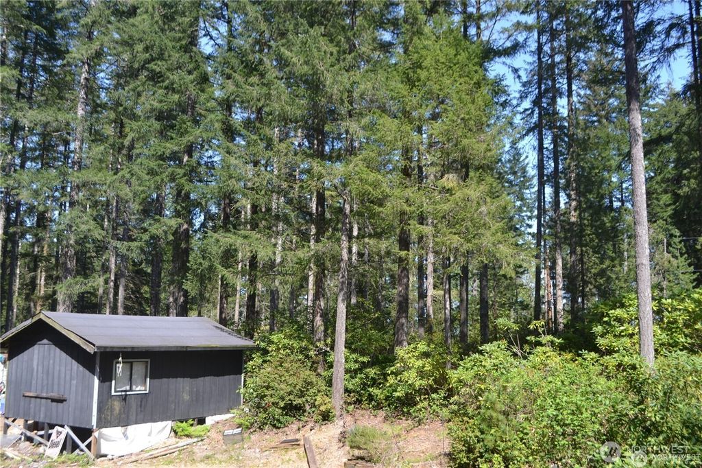 Photo of 0 Lot #55 NE Collins (80 Collins Dr.) Drive, Tahuya, WA 98588 (MLS # 2499352)