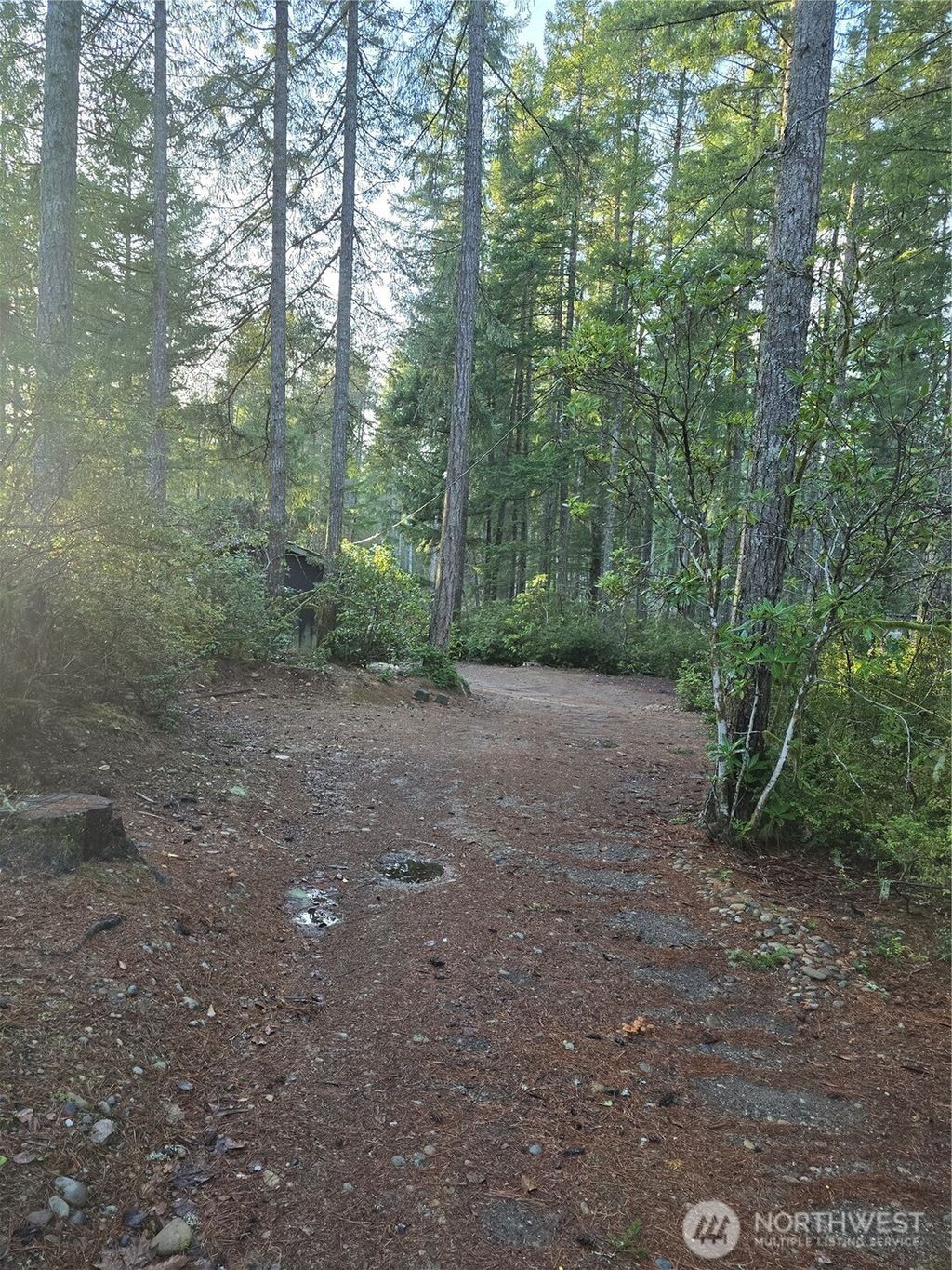 Photo of 0 Lot #55 NE Collins (80 Collins Dr.) Drive, Tahuya, WA 98588 (MLS # 2499352)