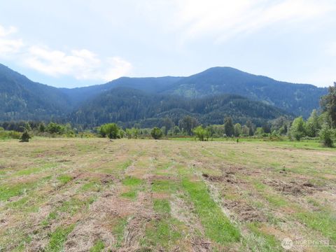 Photo of 295 River Ranch Road, Randle, WA 98377 (MLS # 2519148)