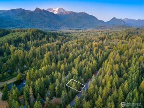 109 Big Creek Road Ashford WA 98356