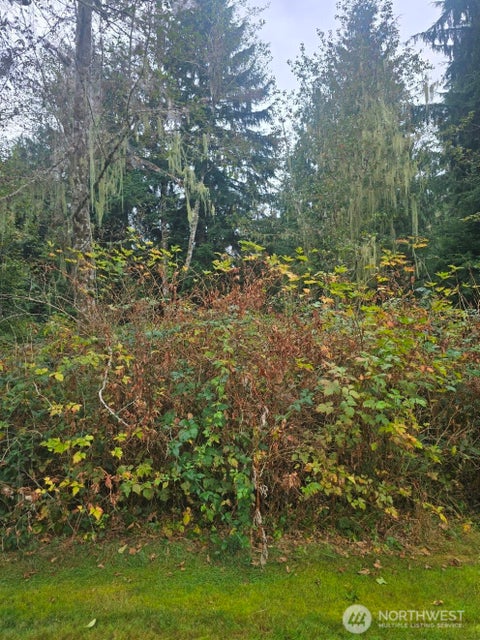 Photo of 24810 Clear Creek Road, Darrington, WA 98241 (MLS # 2581490)