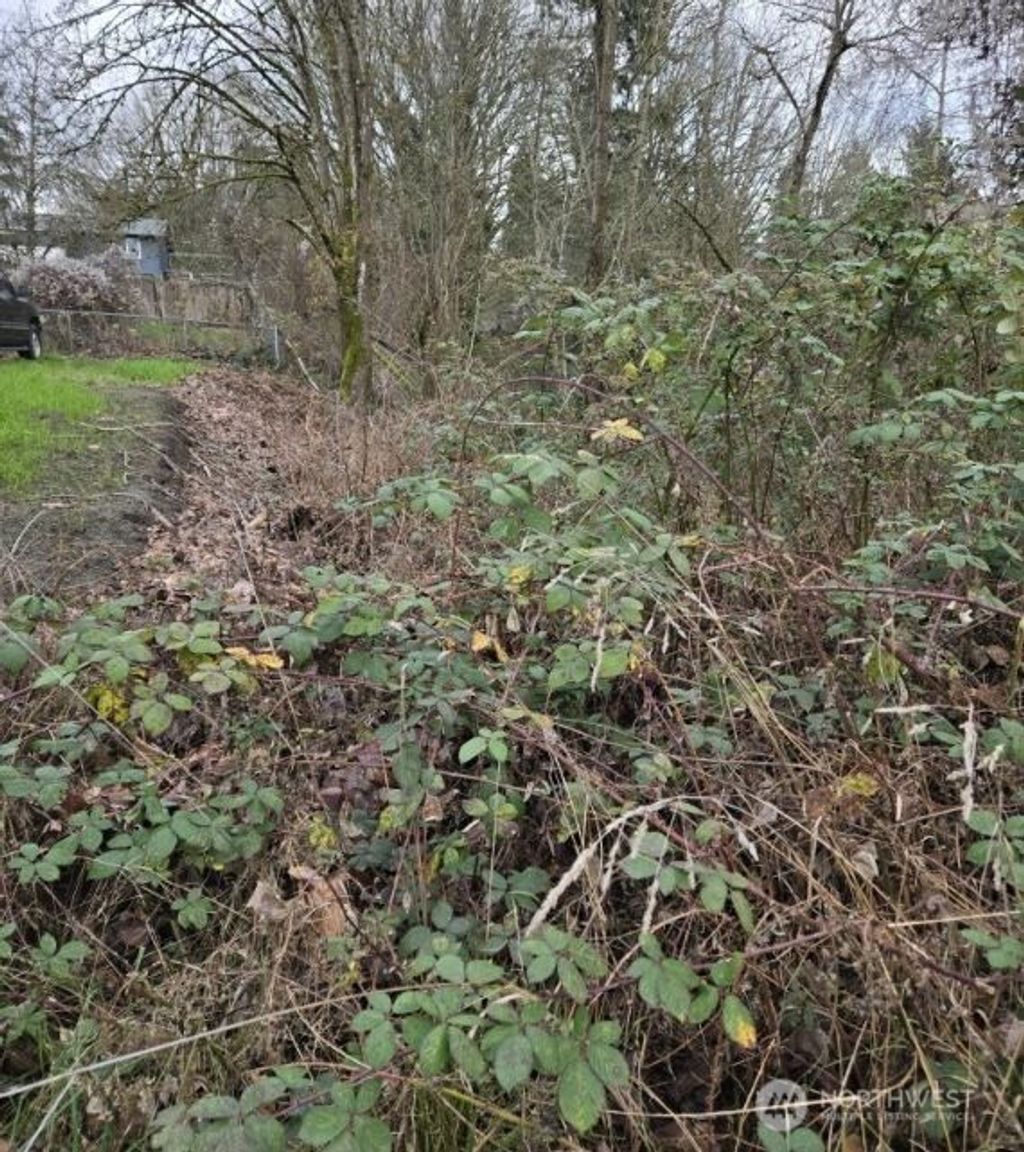 Photo of 8027 S Yakima Avenue, Tacoma, WA 98408 (MLS # 2468853)