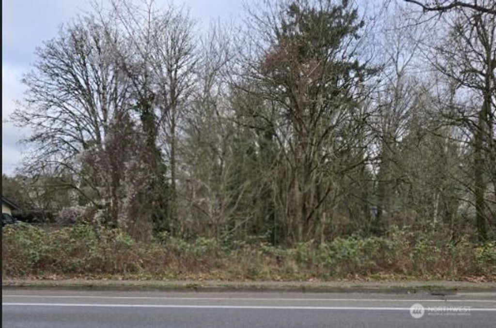 Photo of 8027 S Yakima Avenue, Tacoma, WA 98408 (MLS # 2468853)