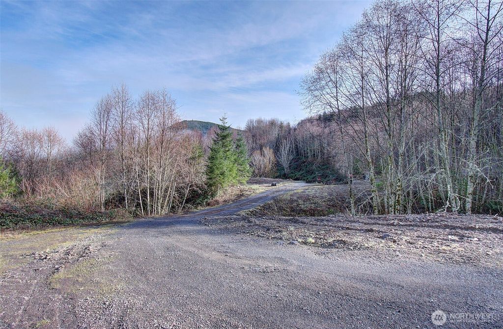 Photo of 0 Remington Road, Kelso, WA 98626 (MLS # 2476734)