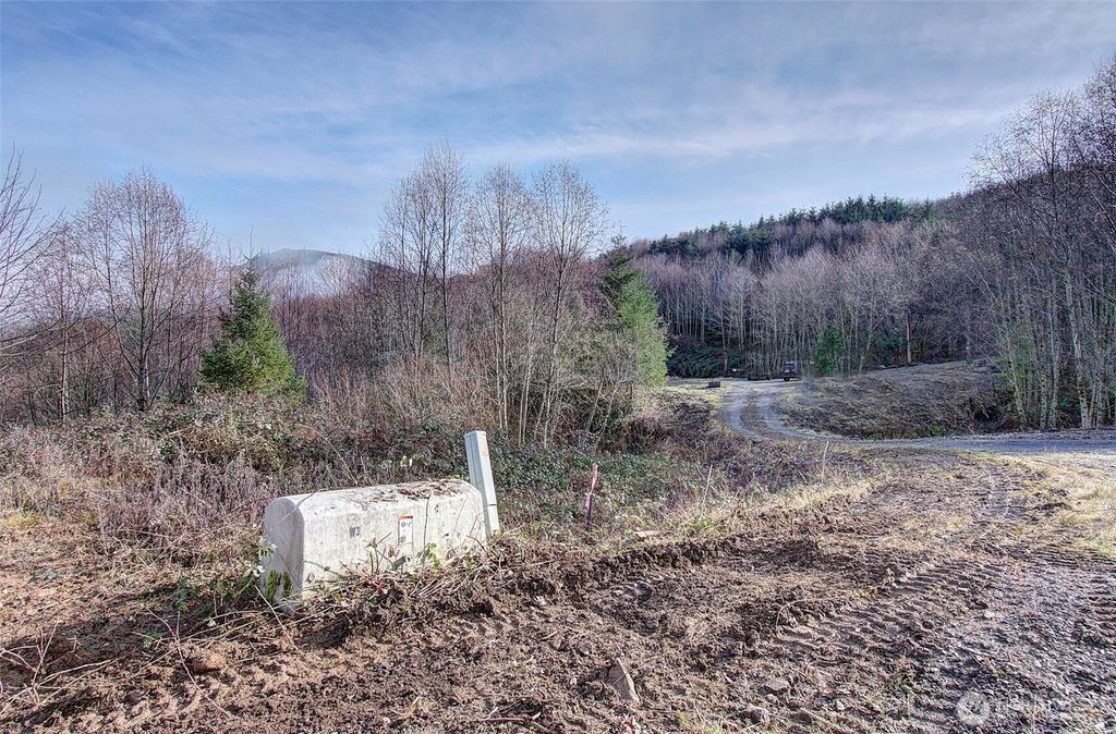 Photo of 0 Remington Road, Kelso, WA 98626 (MLS # 2476734)